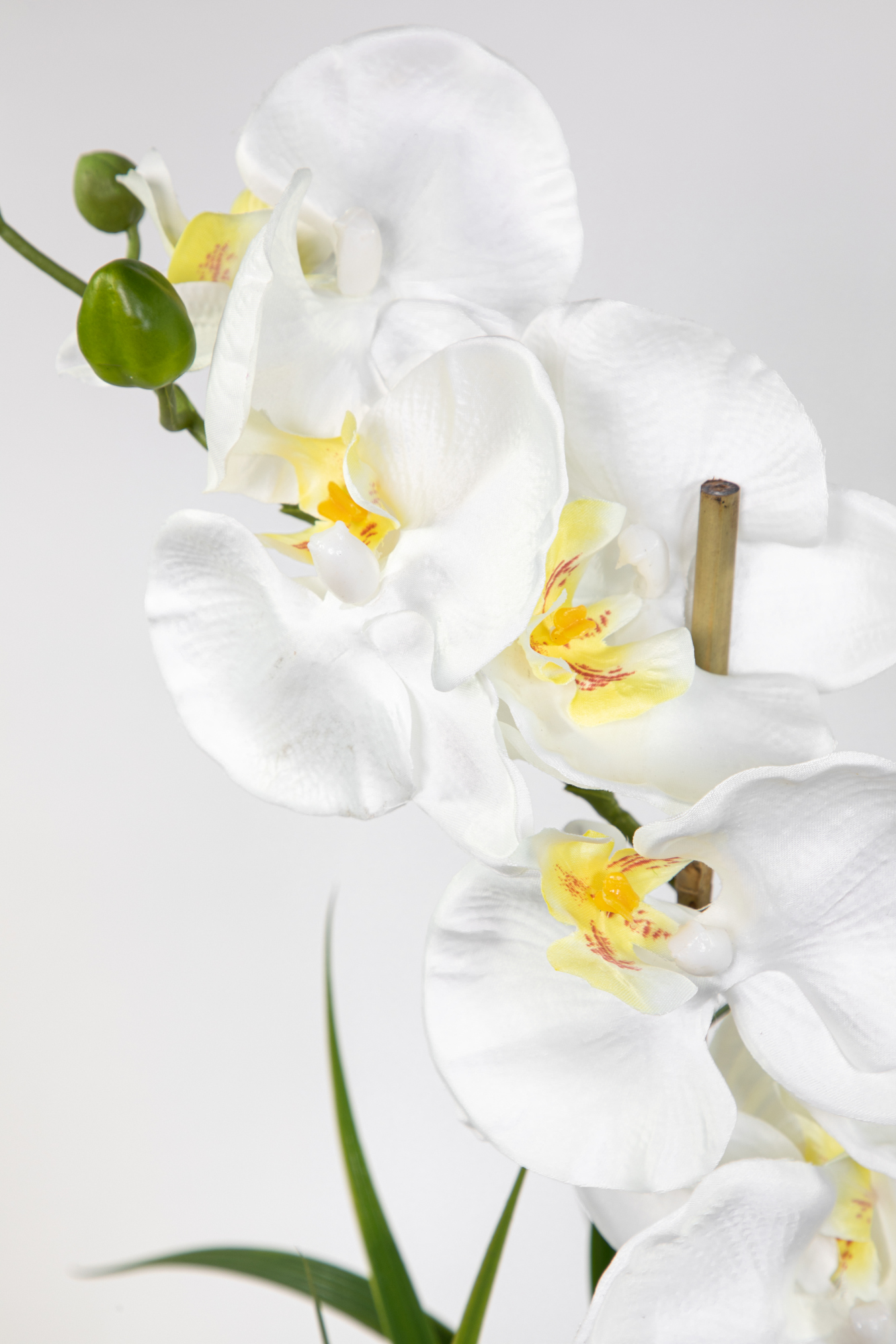 Terracottatopf Phalaenopsis Blumen GA künstliche Kunstblumen 75x60cm weiß im Orchidee