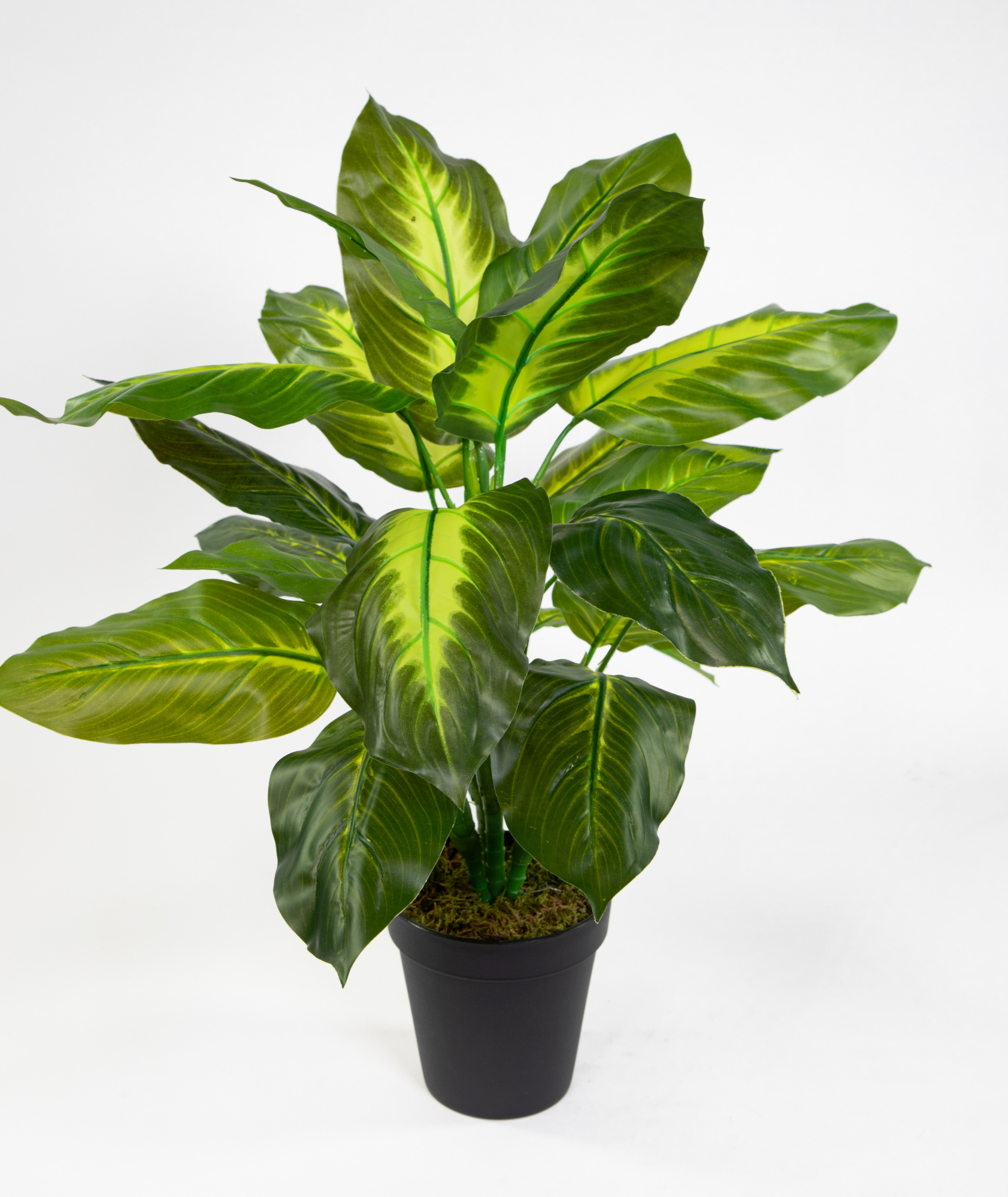 künstliche Touch grün-hellgrün Philo Pflanzen im ZF Topf Kunstpflanzen Real Philopflanze 52cm