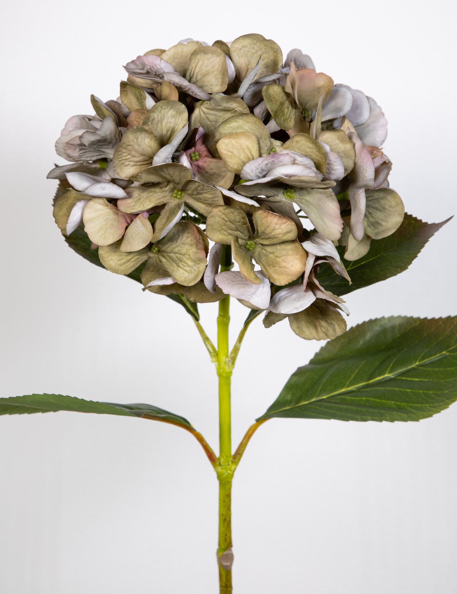 Hortensie 68cm grün-hellrosa GA Hydrangea Blumen Hortensien Kunstlbumen künstliche Seidenblumen