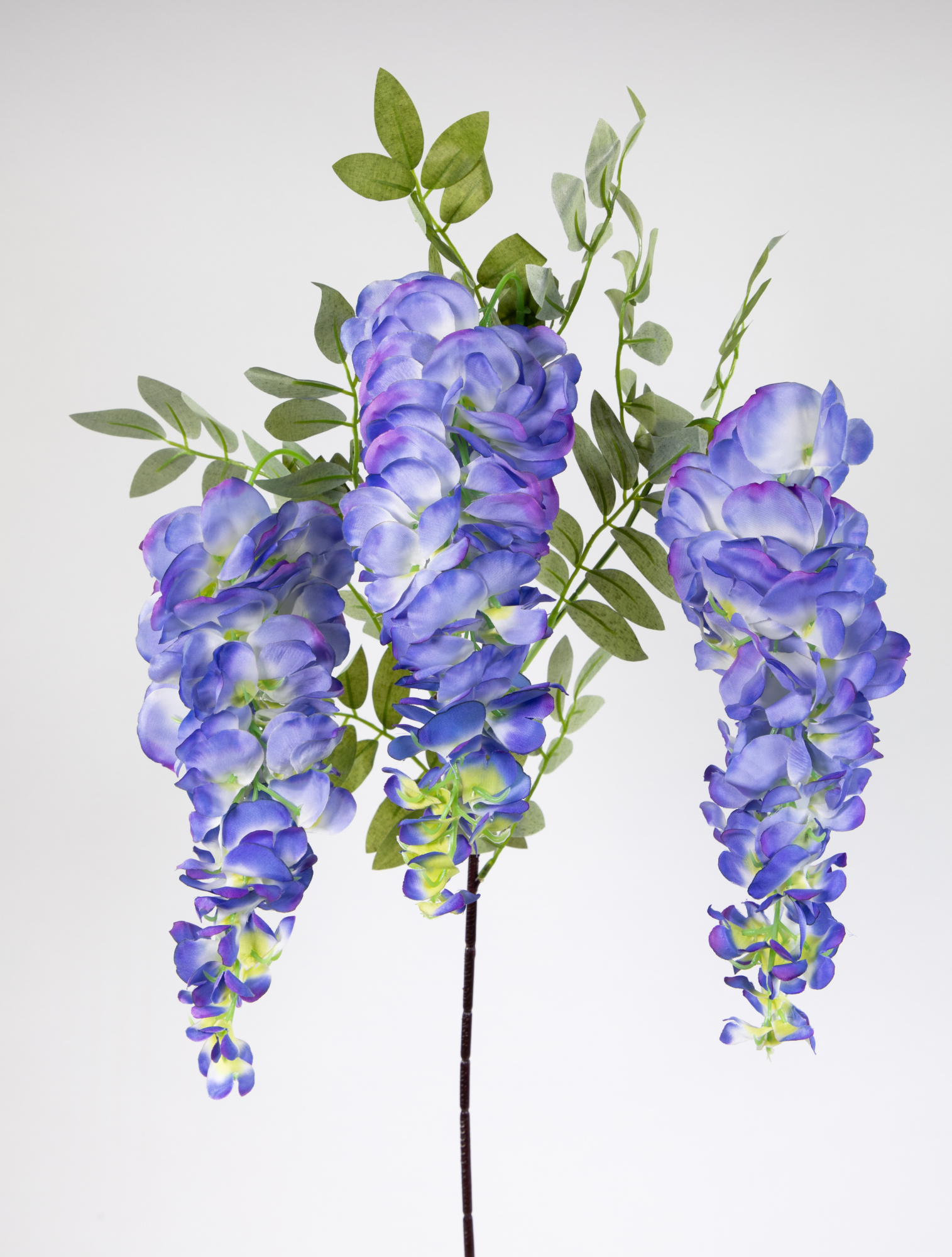 Wisteriazweig mit 3 großen Blütentrauben 75cm / 100cm lila JA Künstlicher Blauregen Glyzine Blumen Kunstblumen Seidenblumen Dekoblumen Wisteria