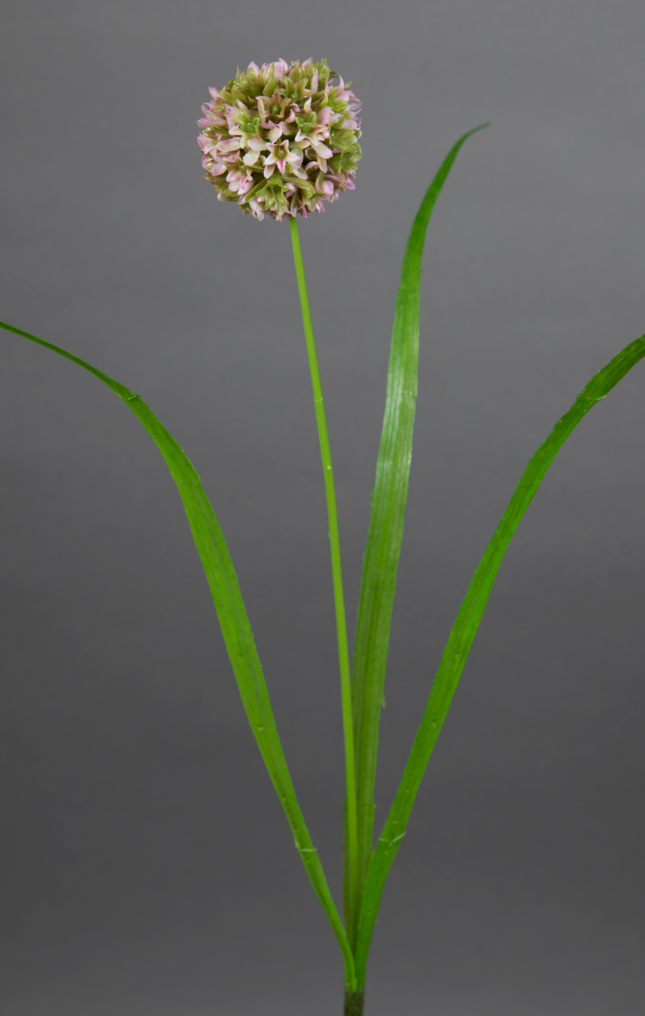 Allium mit Blätter 42cm helllila FT Kunstblumen künstliche Blumen  Alliumkugel