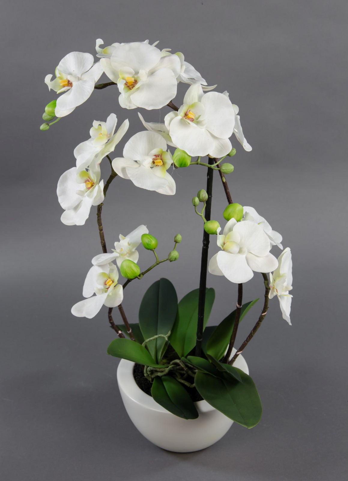 Orchidee Real Touch 58x28cm weiß in weißer Keramikschale GA Kunstblumen künstliche Blumen