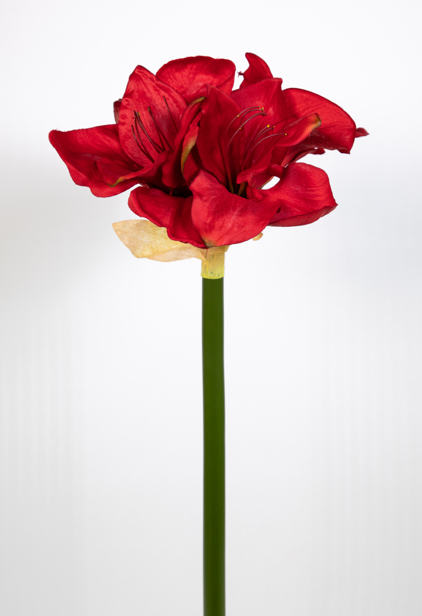 Große Amaryllis 72cm rot CG Kunstpflanzen künstliche Blumen Pflanzen Ritterstern