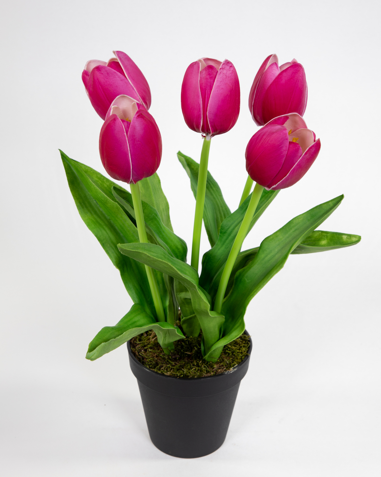 Künstliche Tulpen PU Real Touch 36cm weiß im Topf ZF Kunstblumen künstliche  Blumen Tulpen