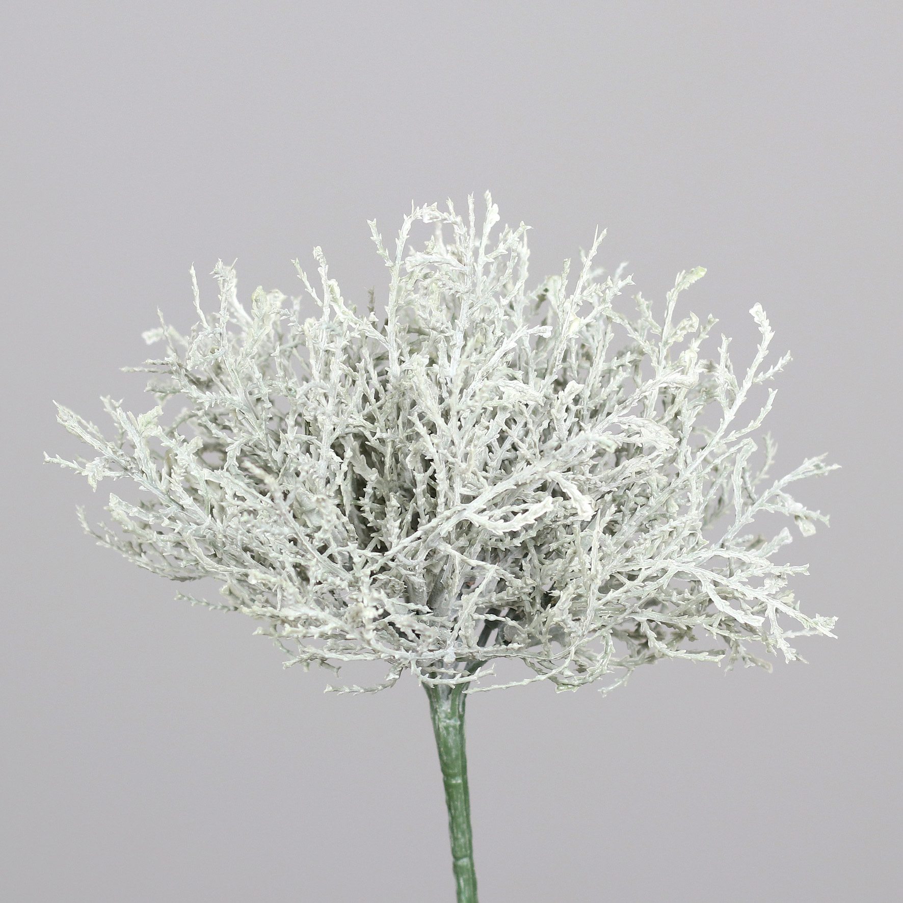 Calocephalus / Silberkörpchen 22cm silber-grau DP Kunstpflanzen künstliche Pflanzen Stacheldraht