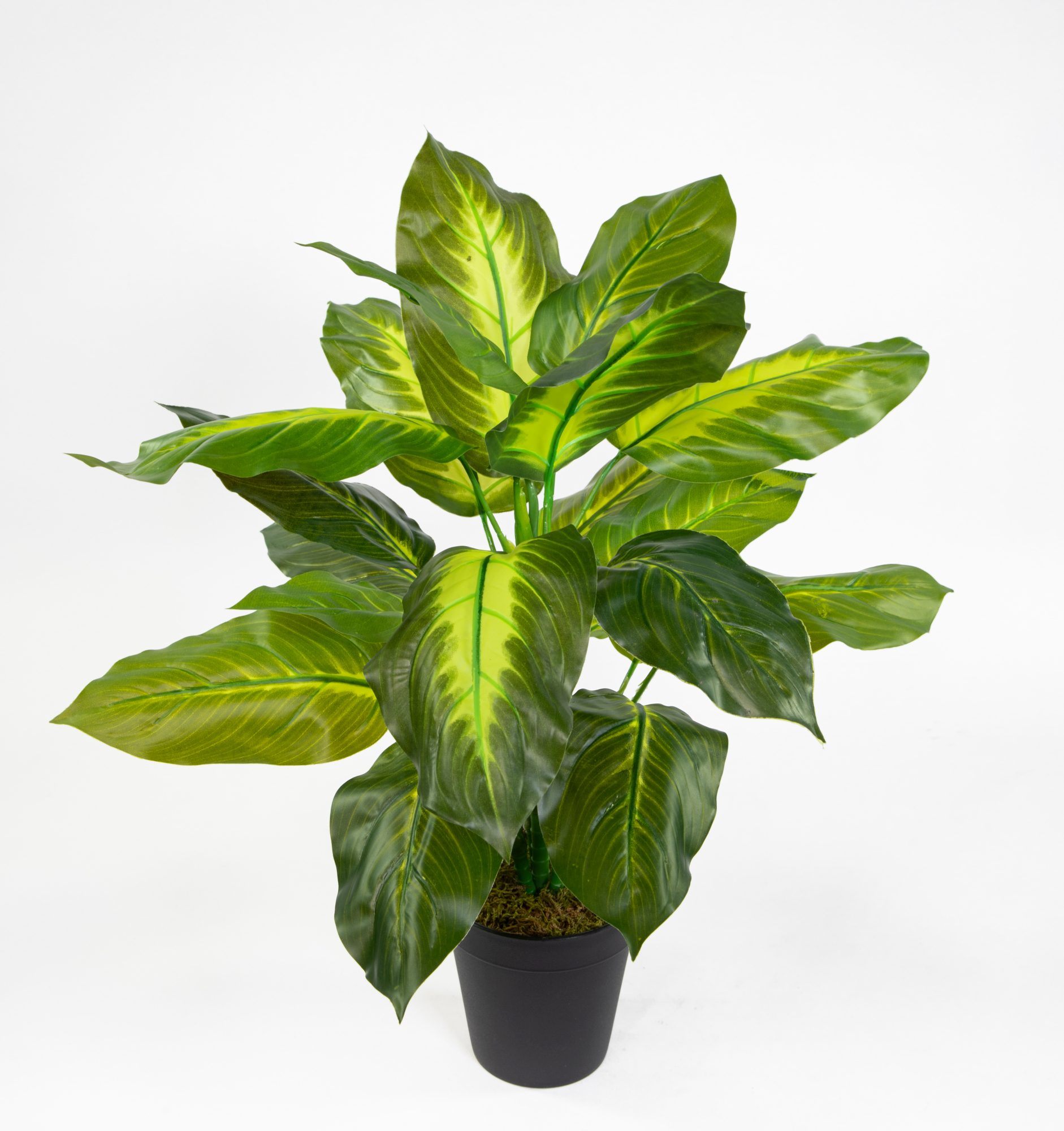 Philo Real Touch 52cm grün-hellgrün Pflanzen im künstliche Philopflanze Topf Kunstpflanzen ZF
