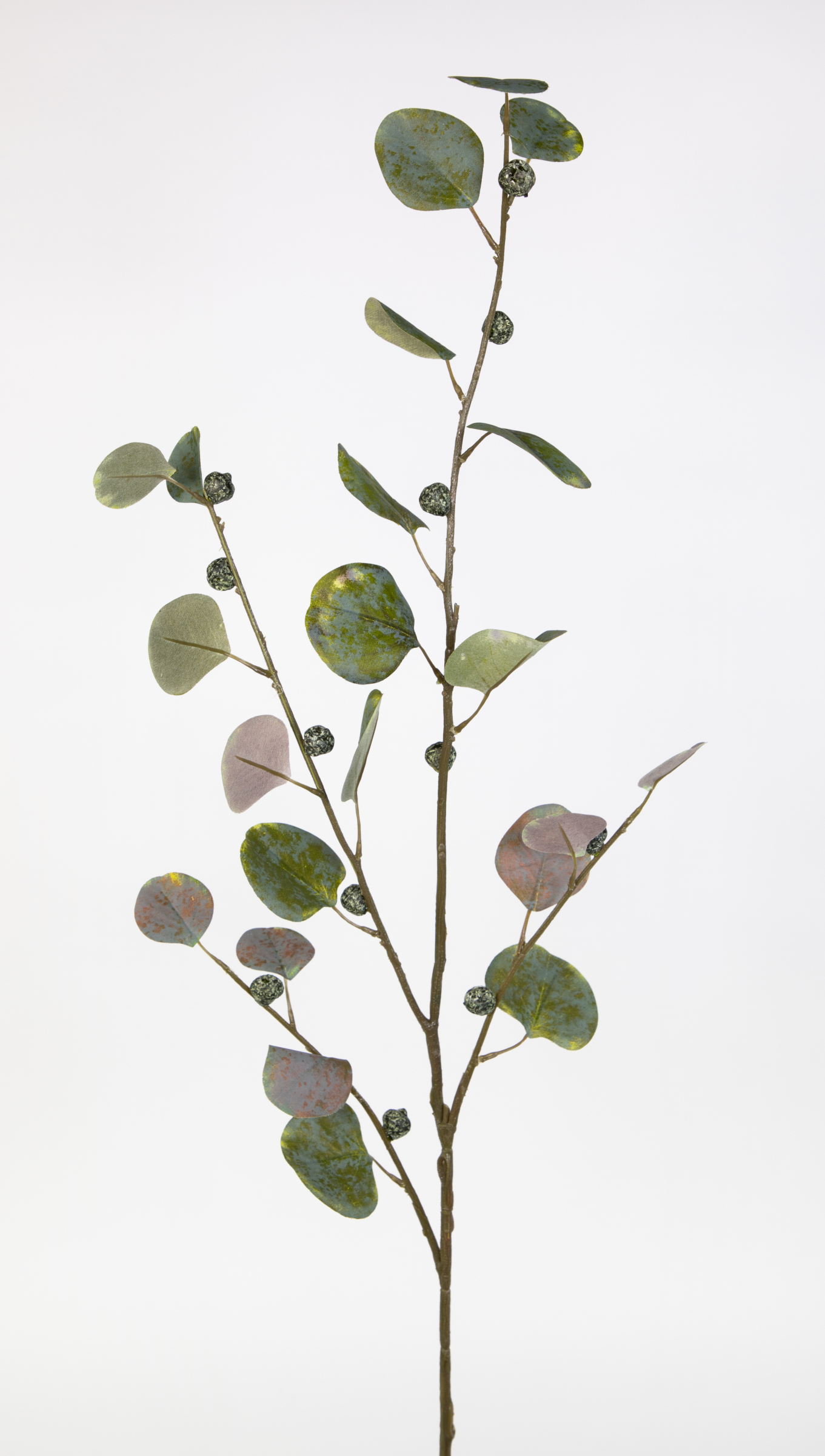 künstliche Zweige Eukalyptuszweig grün JA mit Früchten Eukalyptus Kunstzweig künstlicher 110cm