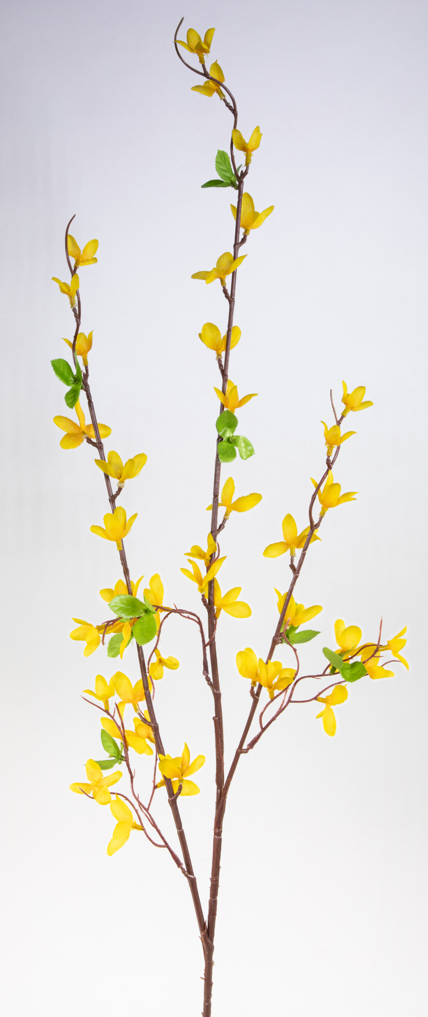 Forsythienzweig 105cm FI Goldglöckchen Blumen Forsythie Goldflieder künstliche Kunstblumen