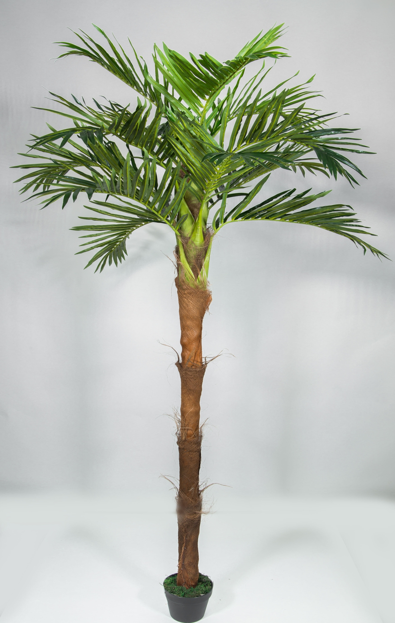 Phönixpalme mit Kokosstamm 220cm ZJ künstliche Palmen Kunstpalmen Kunstpflanzen Dekopalme