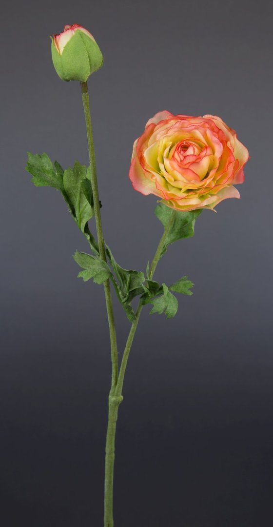 Ranunkelzweig 48cm rosa-creme CG Kunstblumen Seidenblumen künstliche Blumen Ranunkel