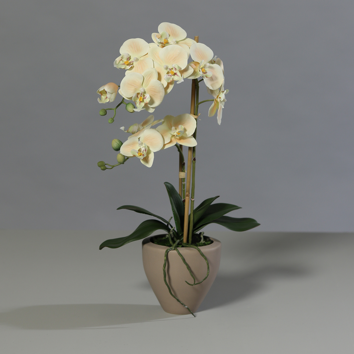 Orchidee Real Touch 62cm salmon im braunen Keramiktopf DP Kunstblumen künstliche Blumen