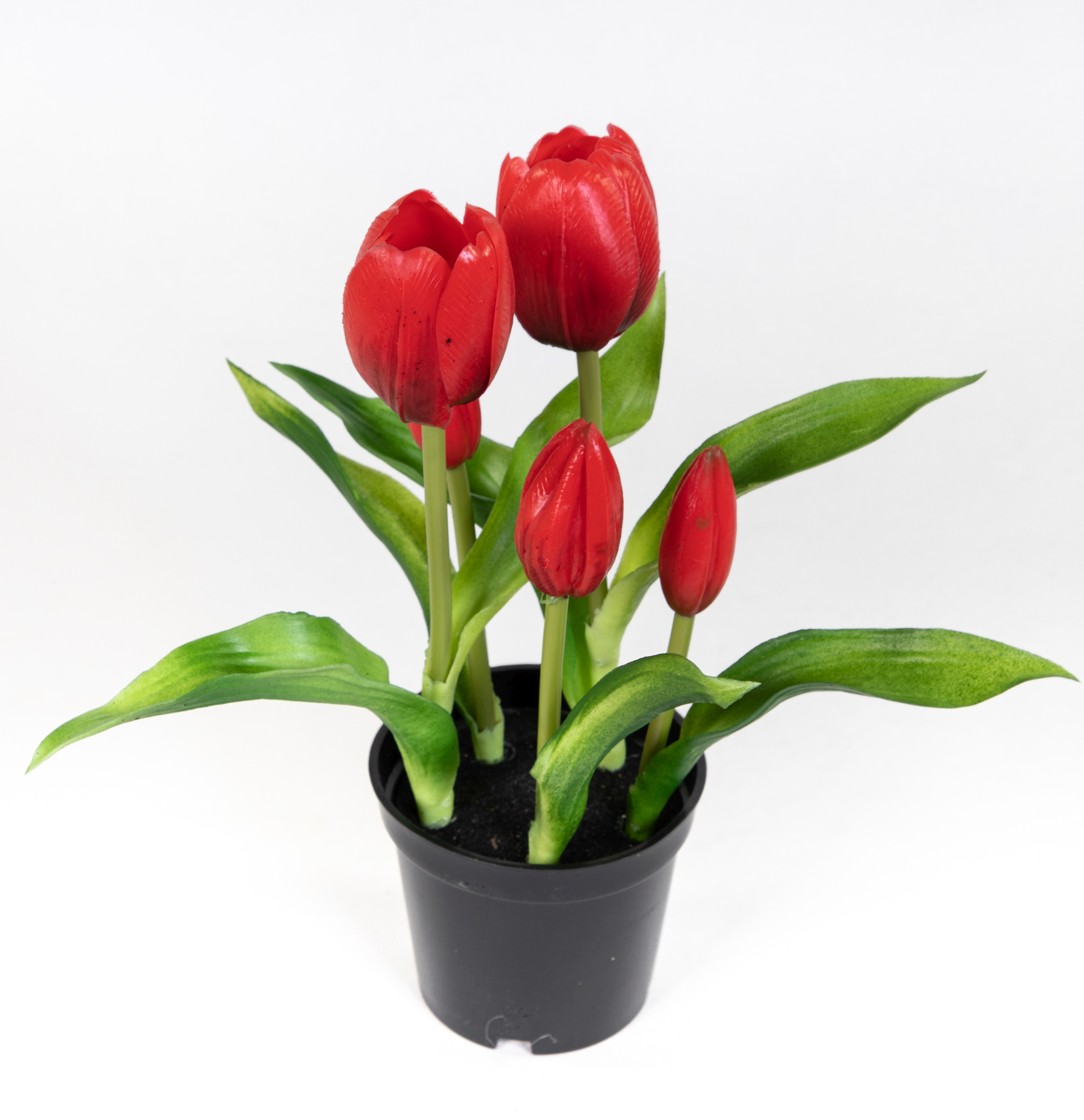 Tulpen Real Touch 24cm rot im Topf ZF Kunstpflanzen künstliche Pflanzen Tulpentopf