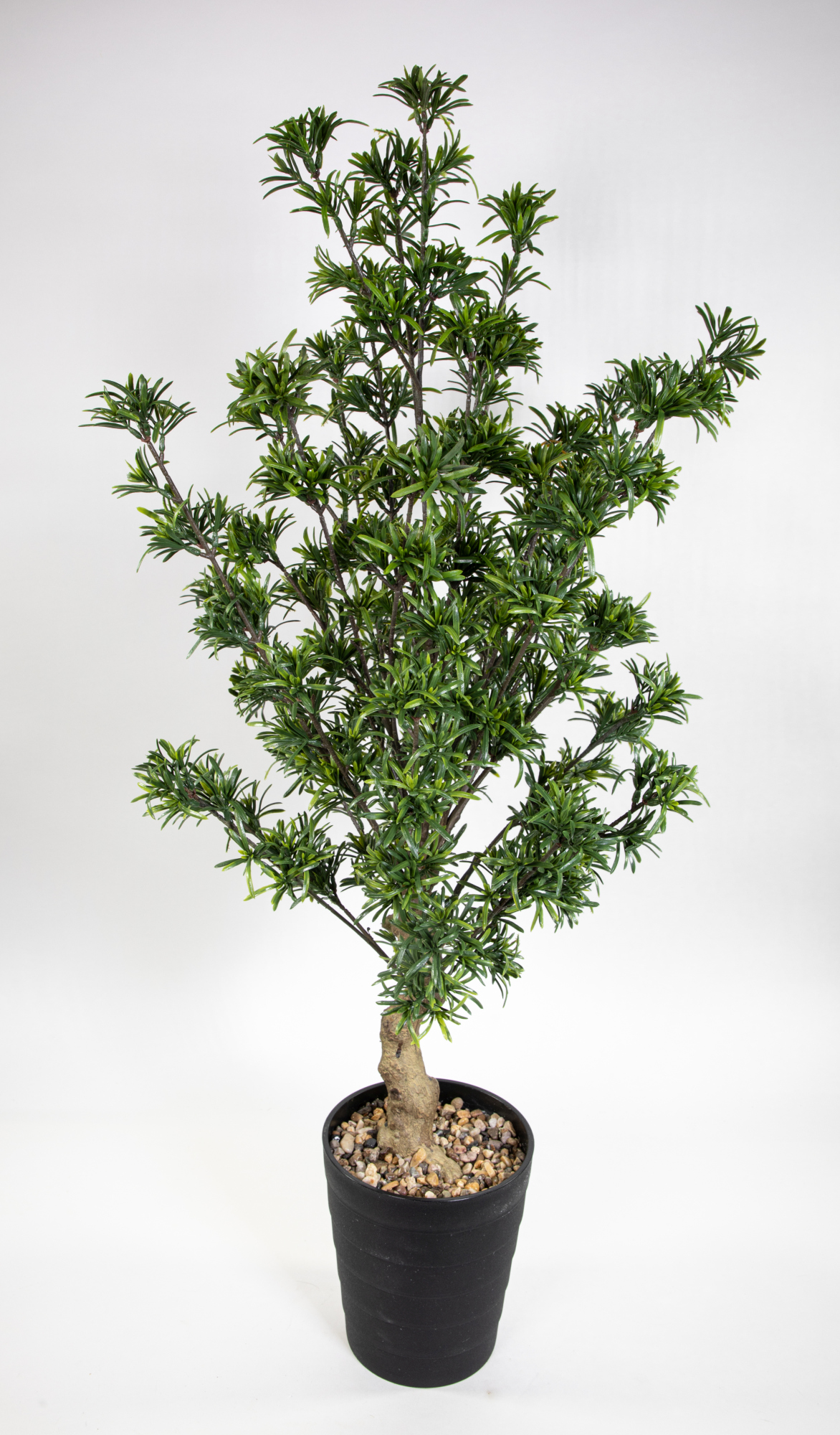 Bonsai Steineibe 100x55cm GA künstlicher Baum Kunstbaum Dekobaum Kunstpflanzen