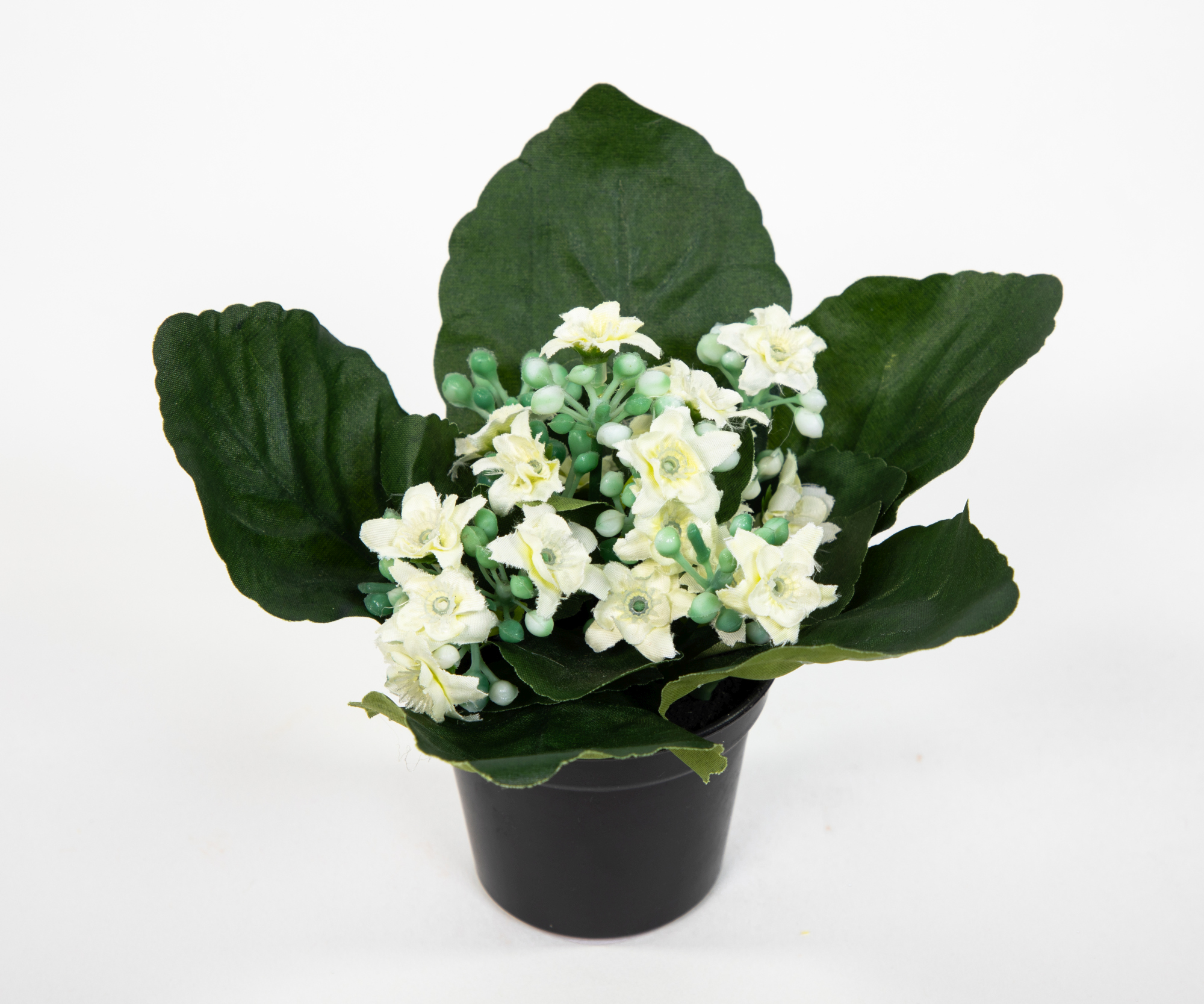 Kalanchoe 12cm weiß im Topf JA Kunstblumen künstliche Blumen Pflanzen Kunstpflanzen
