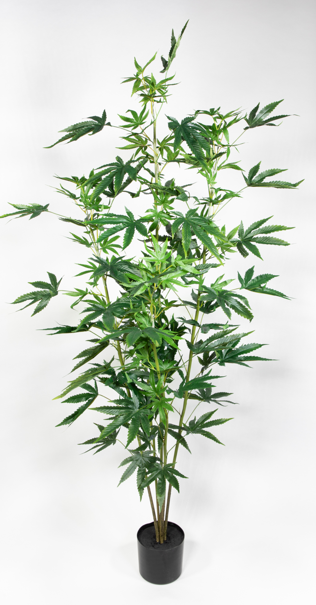 Hanfpflanze / Cannabispflanze 165cm GA künstlicher Baum Kunstbaum Kunstpflanzen Hanf Cannabis Weed
