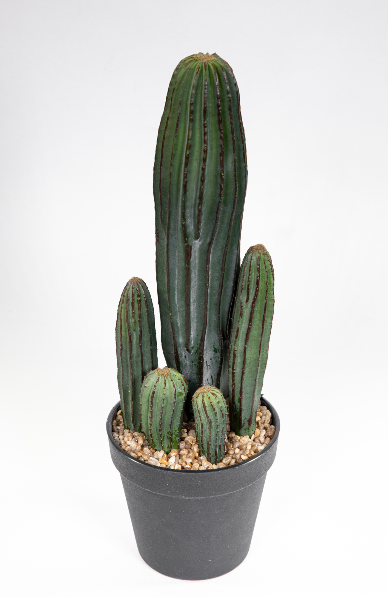 https://seidenblumen-ross.de/media/e2/1b/a5/1689063390/saeulenkaktus-36cm-im-topf-ja-kunstpflanzen-kuenstliche-kakteen-pflanzen-kuenstlicher-kaktus.jpg