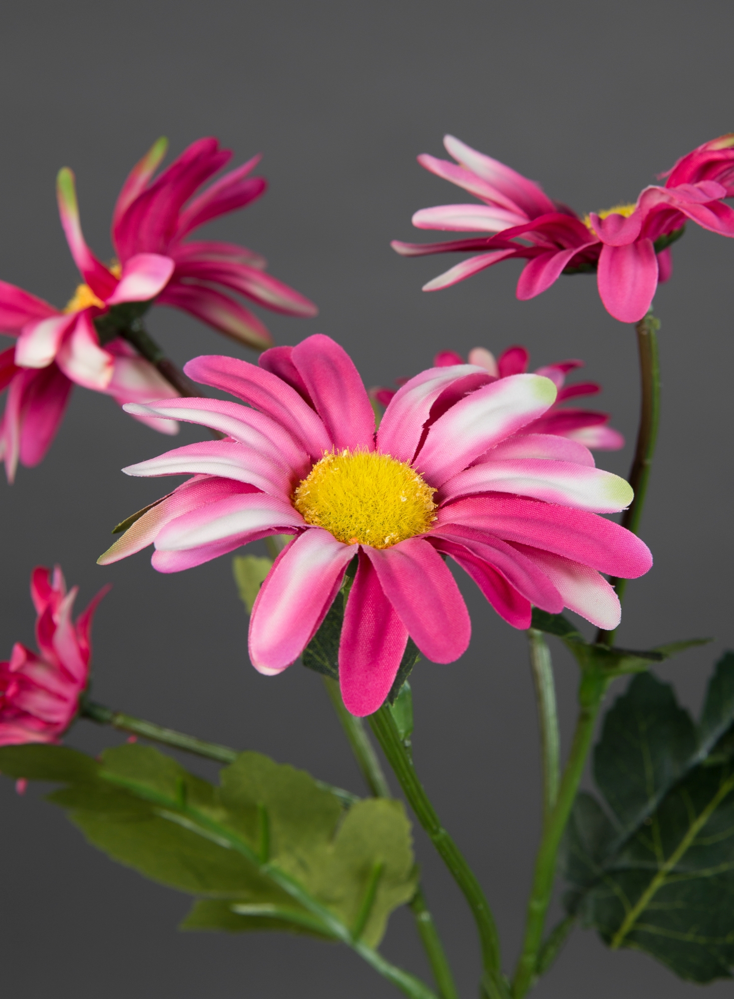 Margeritenzweig 60cm rosa-pink Margerite Kunstblumen LM Blumen künstliche