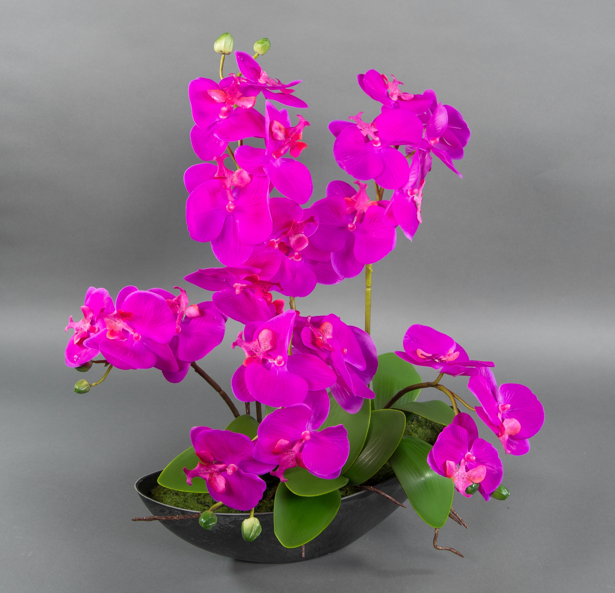 Orchideen-Arrangements