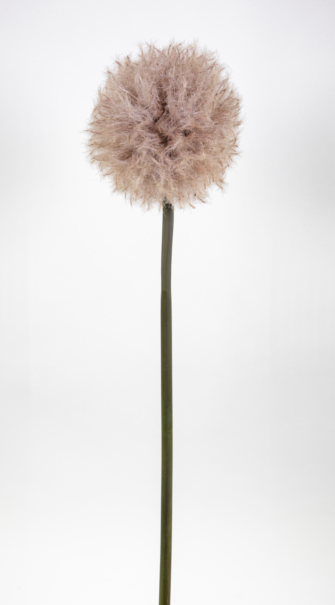 Pusteblume 88cm braun CG Kunstblumen künstliche Dandelion Taraxacum Blumen