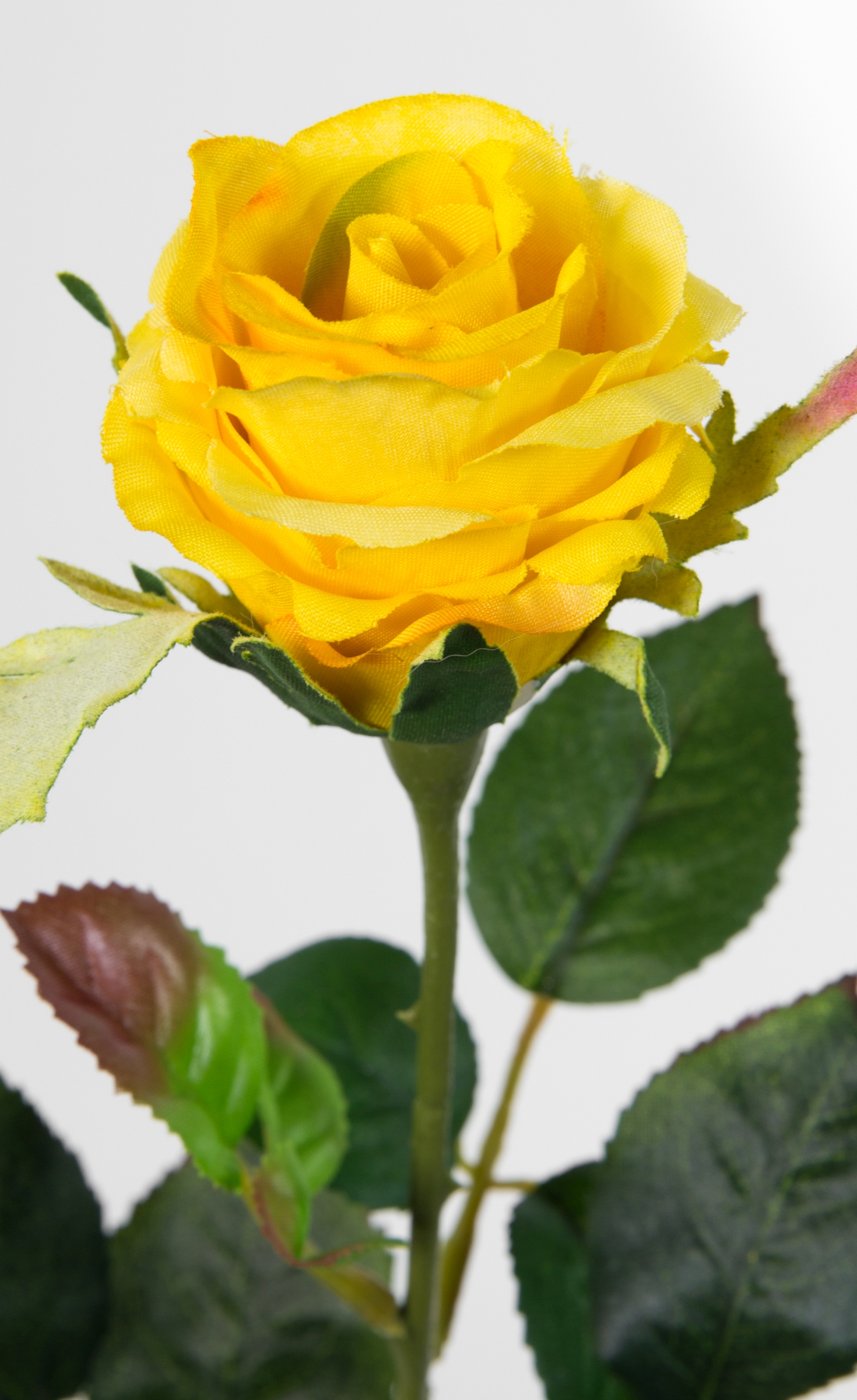 Rose Elena 45cm gelb PM Blumen Seidenblumen Rosen Kunstblumen künstliche