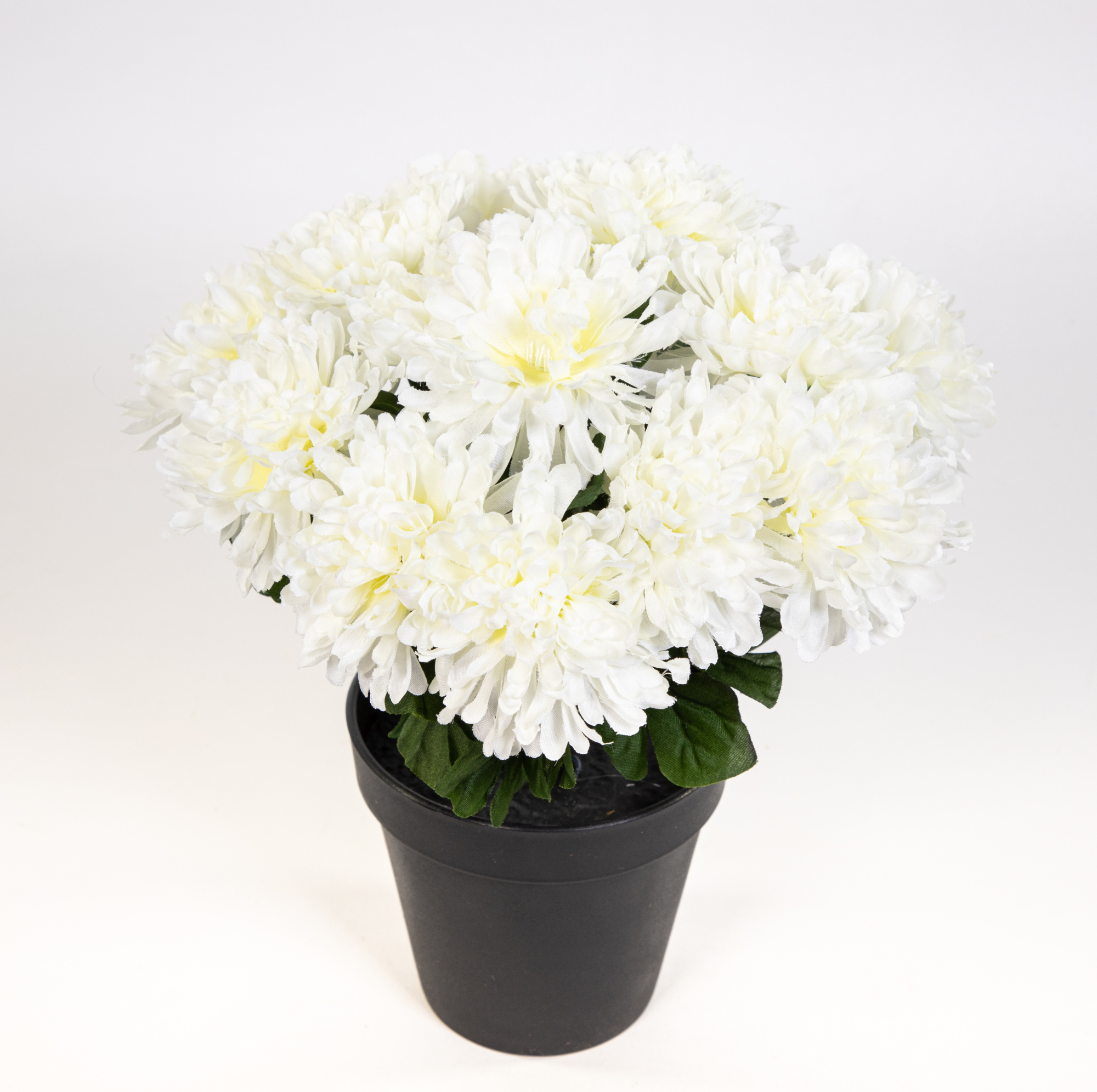 Chrysantheme 26cm weiß im Topf DP Kunstpflanzen künstliche Pflanzen Blumen Kunstblumen
