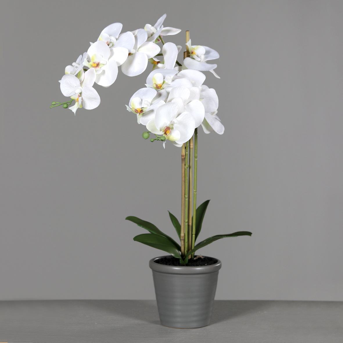 Orchidee 60x32cm weiß im grauen Keramiktopf DP künstliche Blumen  Kunstpflanzen Kunstblume