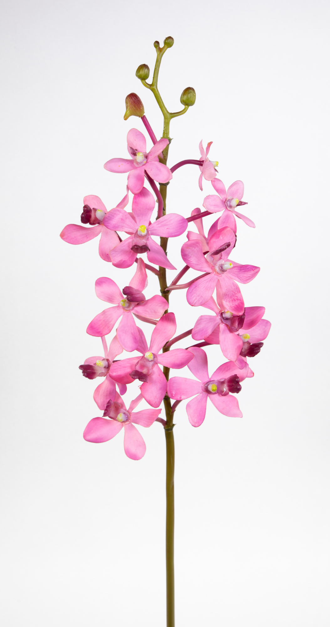 Orchideenzweig Vanda 70cm rosa-pink CG Kunstblumen künstliche Orchidee Vanda Blumen Pflanzen