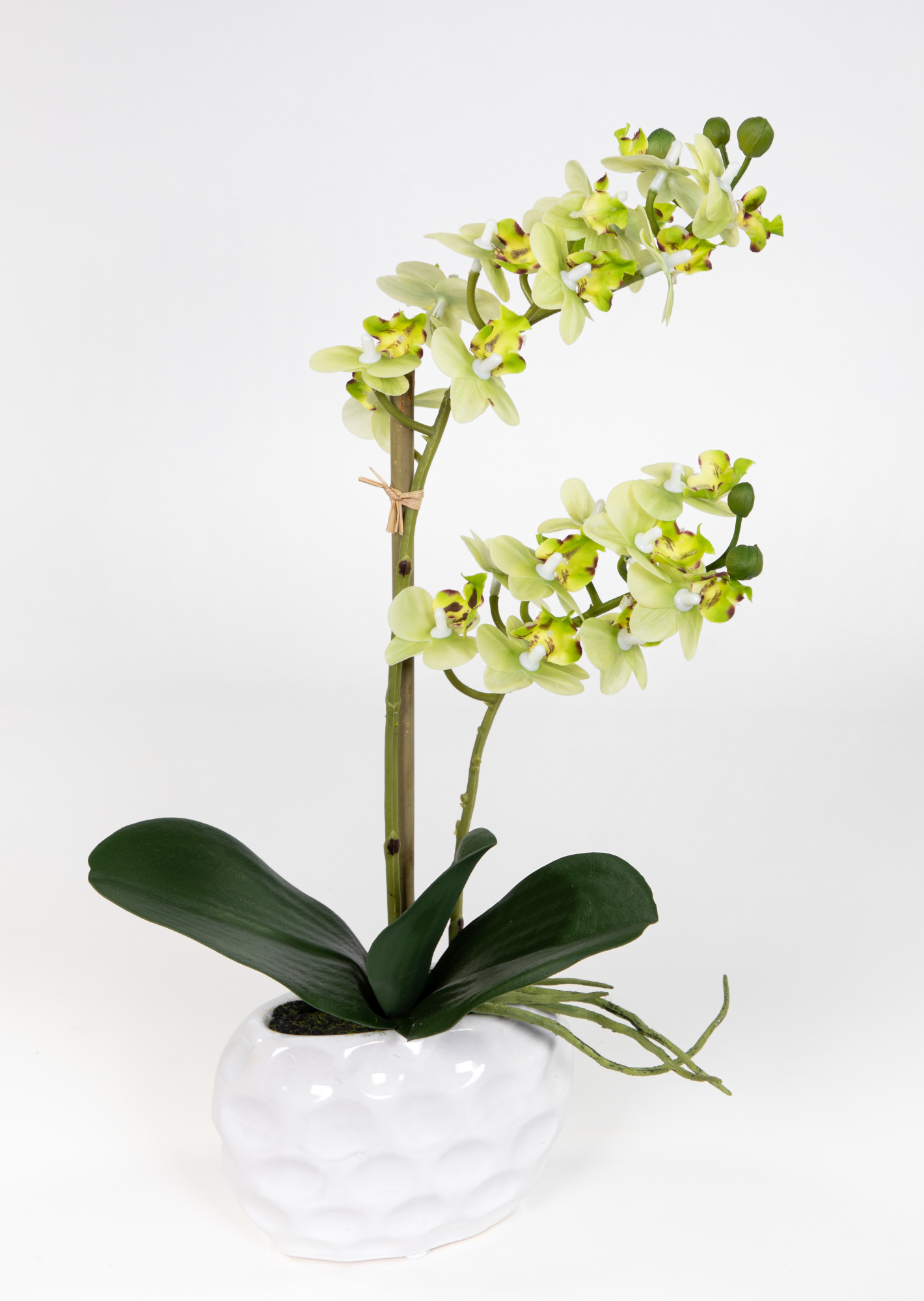 Real GA Blumen Orchidee Kunstblumen weißer 38x22cm grün Keramikvase in Touch künstliche