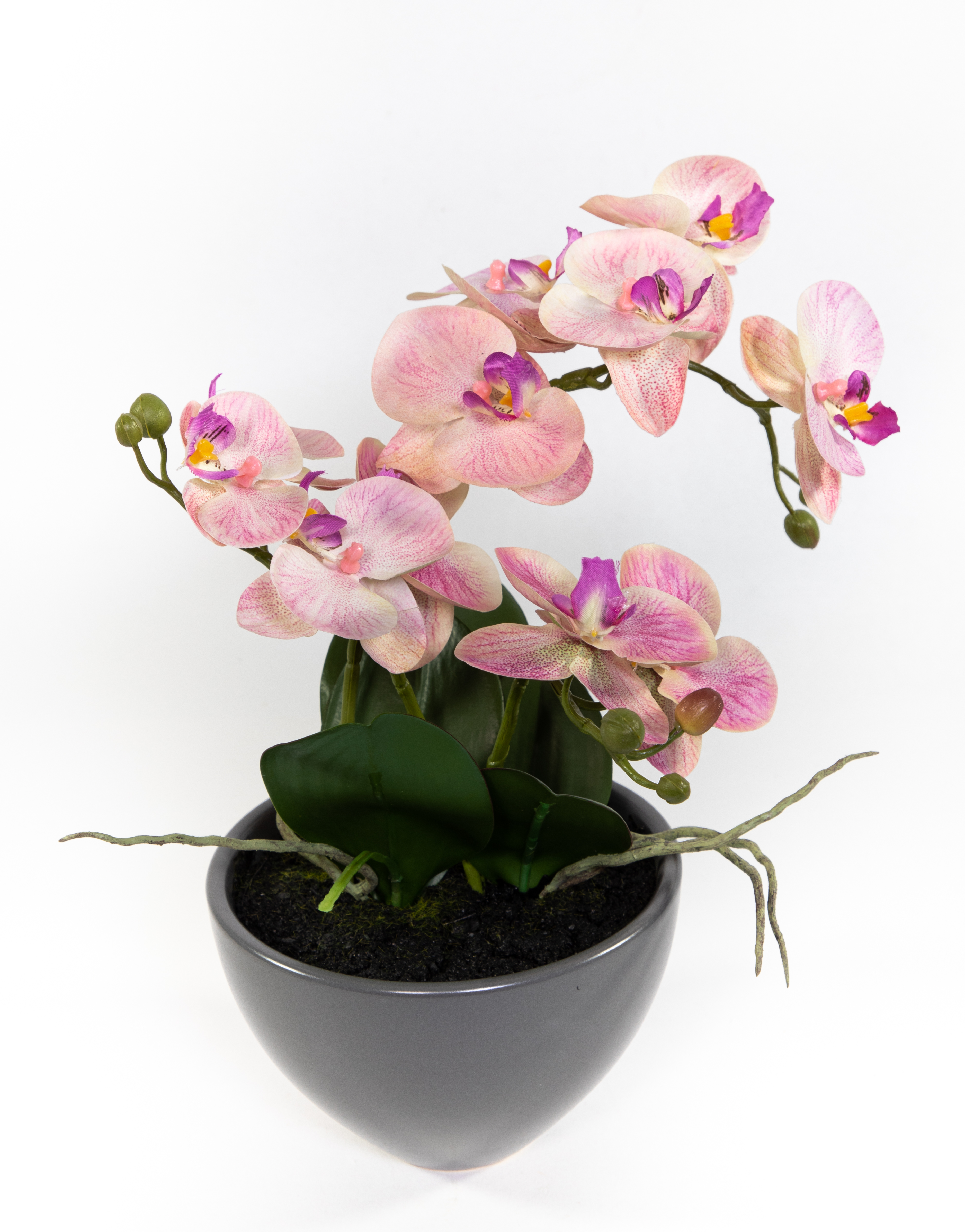 Orchidee 38x26cm rosa-pink in grauer Keramikschale DP Kunstblumen künstliche Blumen Phalaenopsis