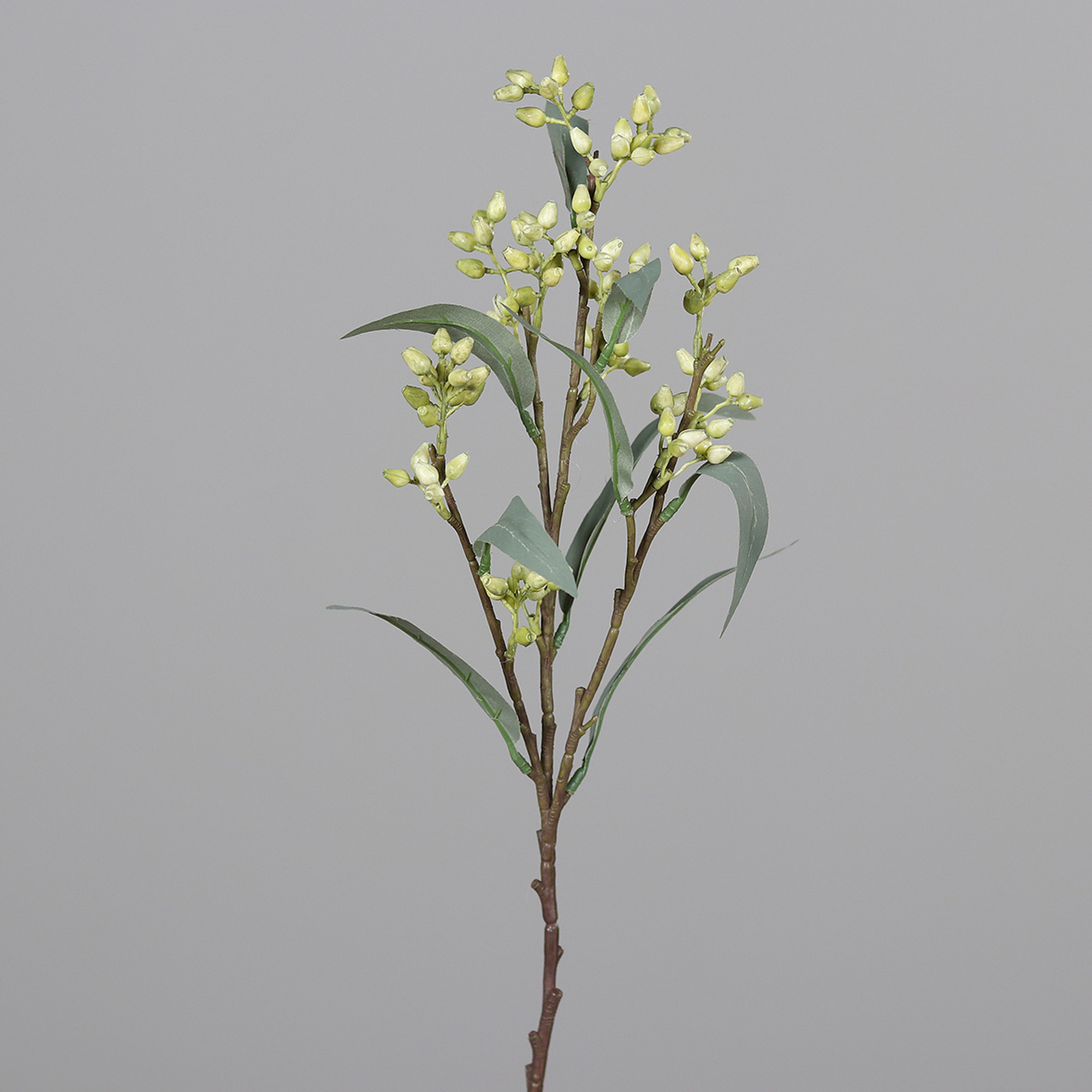 Eukalyptuszweig Blütenknospen 54cm grün DP Kunstblumen künstlicher Eukalyptus Zweige Blumen