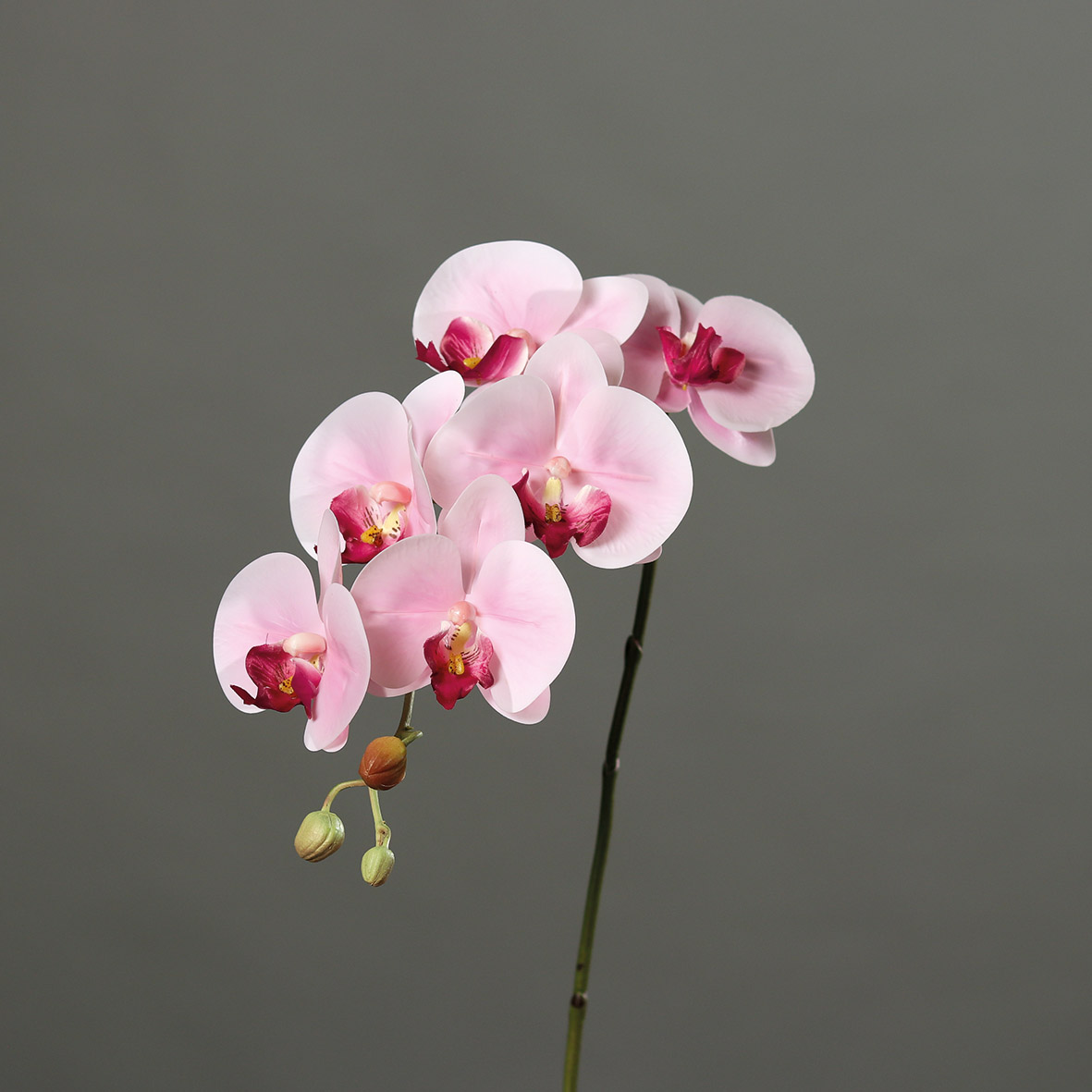 Orchideenzweig Real Touch 80cm hellrosa DP Kunstblumen künstliche Orchidee Orchideen Blumen