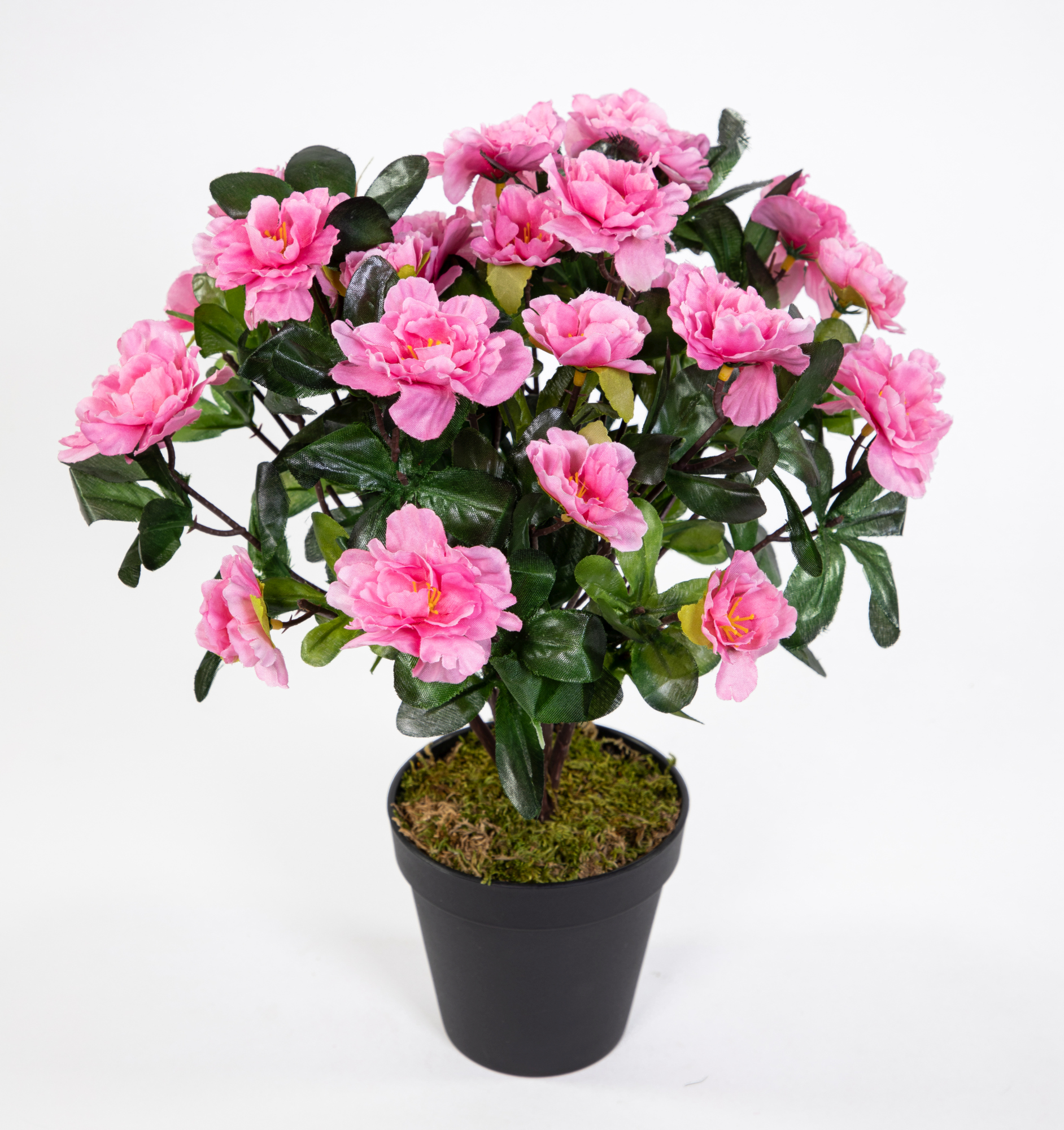 Azalee 34cm rosa-pink im Topf LA künstliche Blumen Pflanzen Kunstpflanzen Kunstblumen Azaleenbusch