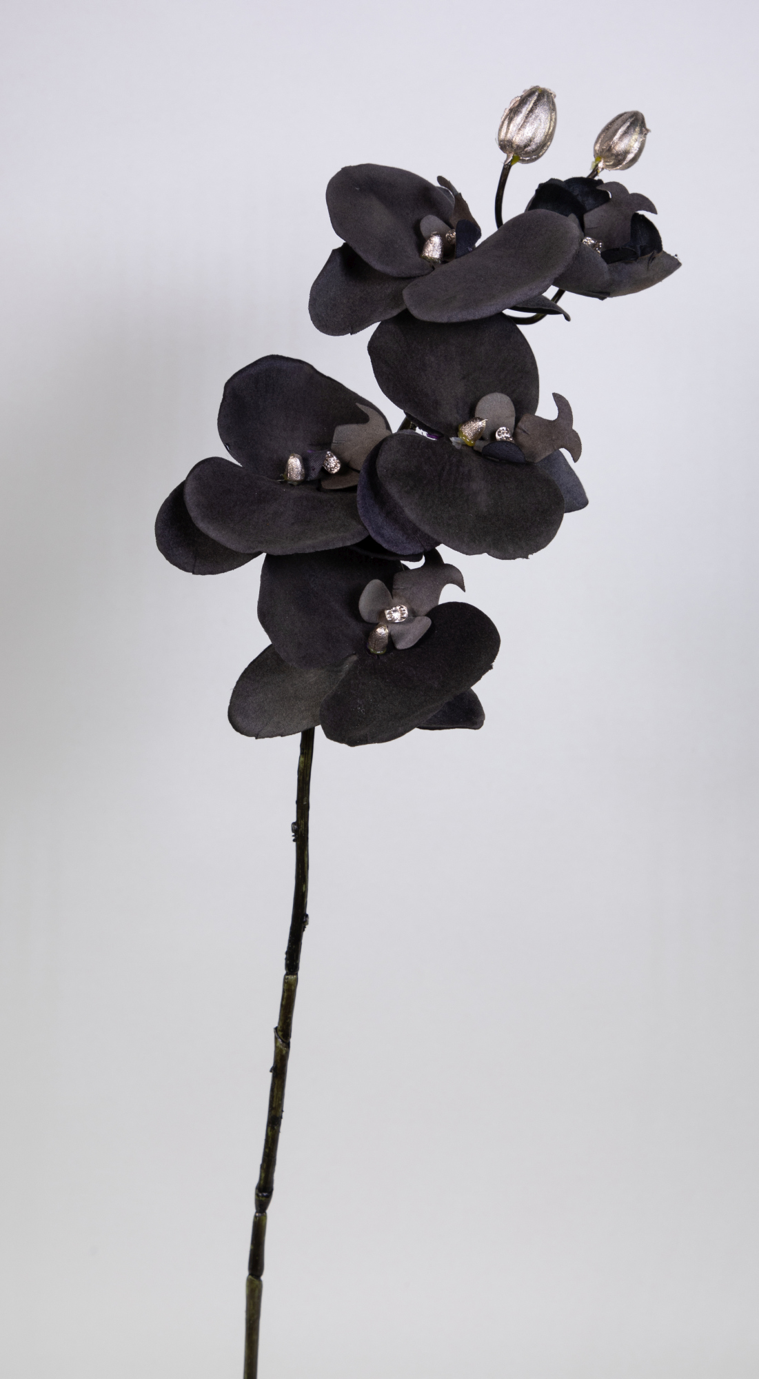 Orchideenzweig 68cm anthrazit GA Kunstblumen künstliche Orchidee Blumen