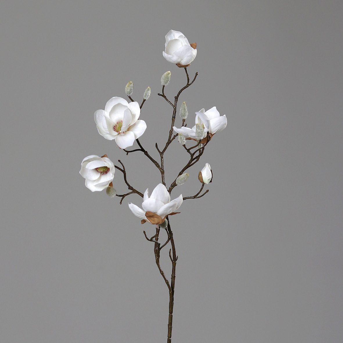 Magnolienzweig 80cm weiß-creme DP Kunstblumen künstliche Blumen Magnolie Magnolia