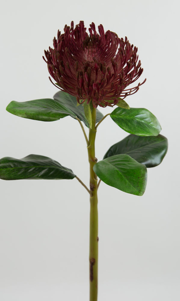 Protea Deluxe 62cm bordeaux Seidenblumen Kunstblumen Blumen künstliche DP