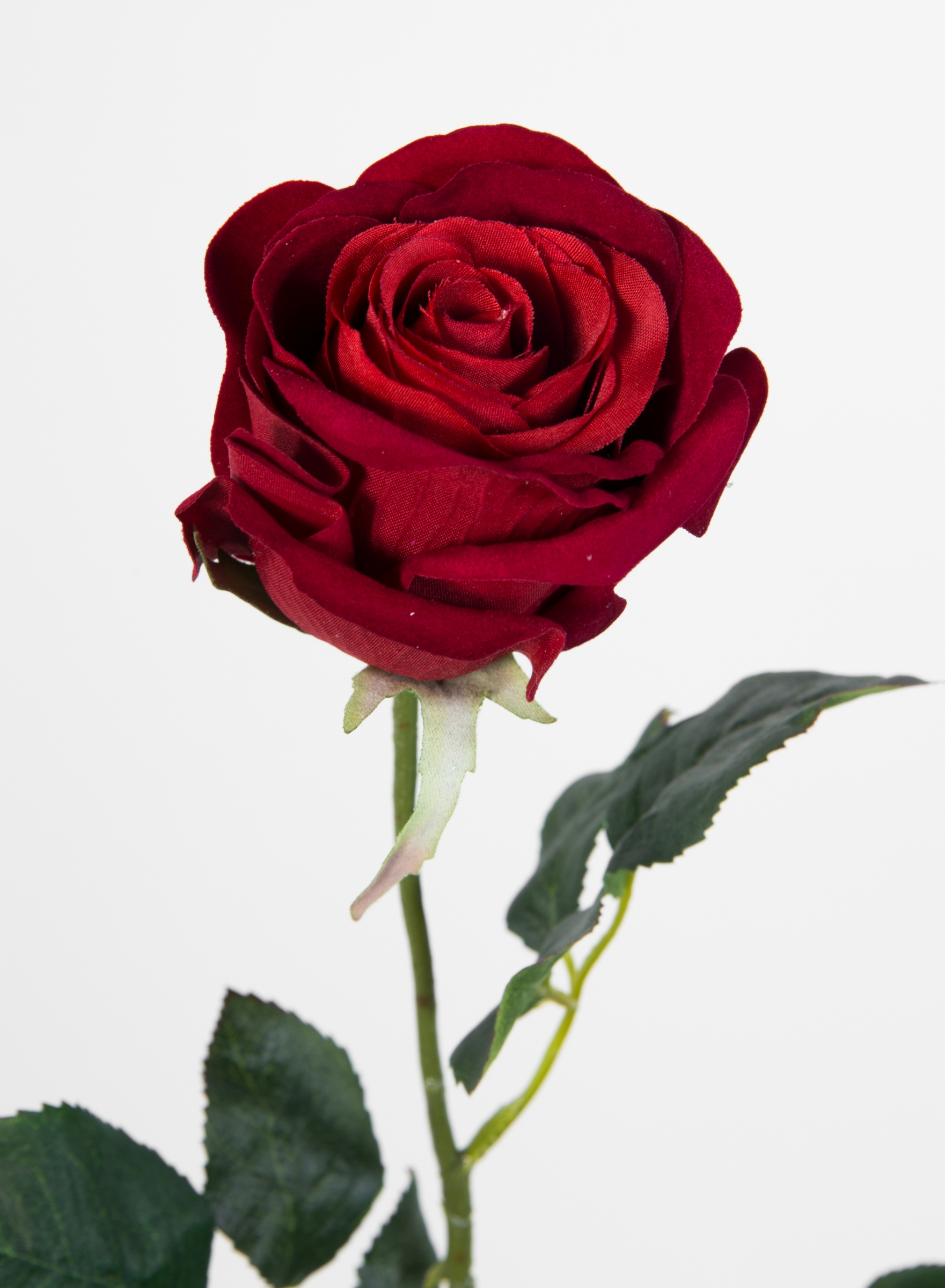 rot Stück Rose 12 Rosen Baccararose Blumen Seidenblumen Kunstblumen PM 68cm künstliche
